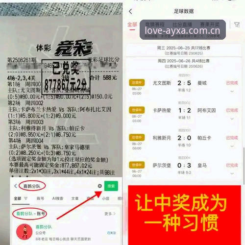 意甲转会深度追踪：法比奥-米雷蒂加盟佛罗伦萨完整解读指南